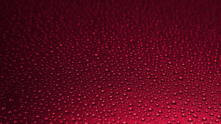 Red water droplets macro kinetic 2 - kinetic free wallpaper