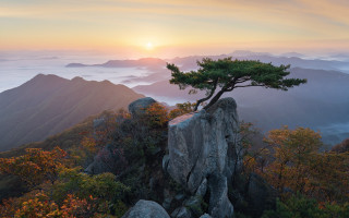 Lone tree rock mountains fog - a lone tree free wallpaper