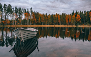 Boat lake trees swans autumn - evaline ness free wallpaper
