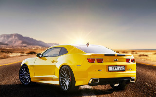Yellow sports car desert bird - roof free wallpaper