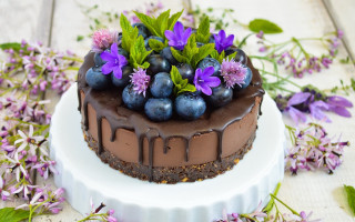 Chocolate blueberry flower spring outdoor - blueberry free wallpaper