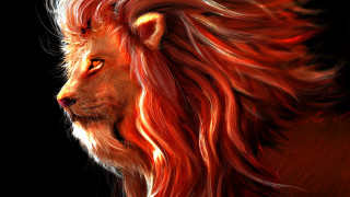 Lion redhair blackbackground sideview fantasy - this image free wallpaper
