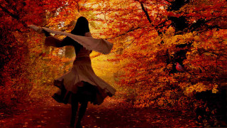 Woman white dress forest autumn - orange leaf free wallpaper