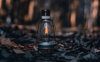 Light bulb leaves woods candle - a candle free wallpaper