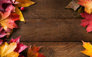 Wooden table leaves cell phone - a wooden table free wallpaper