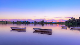 Boats sunset pink sky trees - a pink sky in the background free wallpaper for desktop