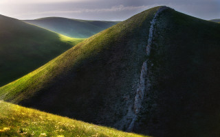 Grassy hill stream flower sunset - a grassy hill free wallpaper