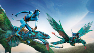 Woman riding blue dragon forest - over a forest free wallpaper