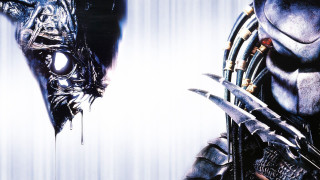 Two alien creatures with large - alien free wallpaper
