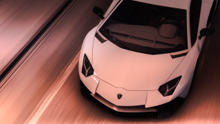 White lamb car driving road - a road next free wallpaper