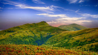 Mountain range cloudy sky flower - beautiful landscape free wallpaper