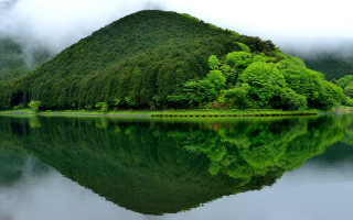 Mountain lake trees foggy sky 2 - a foggy sky in the background free wallpaper