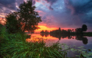Sunset lake trees waterlilies mystical - a sunset over a lake free wallpaper
