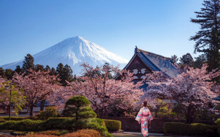 Woman mountain cherryblossoms ukiyo e - japan aimitsu free wallpaper
