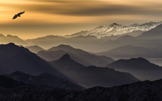 Bird mountains sunset sky ocean - a sunbeam free wallpaper