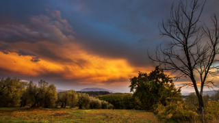 Mystical autumn field trees cloudy - mystical free wallpaper