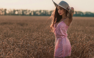 Woman hat wheat field fashion - a woman in a hat free wallpaper