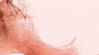 Woman blowing hair pink white - chiharu shiota free wallpaper