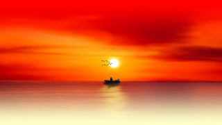 Boat sailing ocean sunset bird - sunrise time free wallpaper