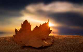 Leaf sand sunset clouds autumn - the cloud free wallpaper