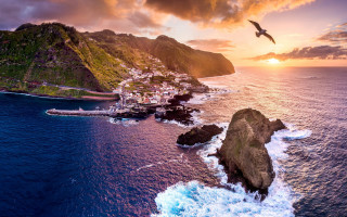 Bird water mountain sunset village - sunset free wallpaper