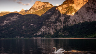Swan lake mountains sunset clouds - a few cloud free wallpaper