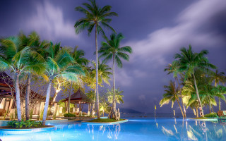 Pool palm trees beach house - a pool free wallpaper
