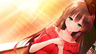 Red dress woman plant light - a character portrait free wallpaper