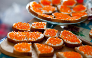 Orange sandwiches blurry background food - a pastel free wallpaper for desktop