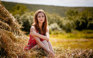Woman hayfield serious daphne mcclure - a field of hay free wallpaper