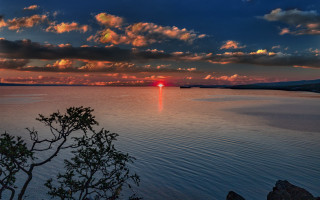 Sunset water tree clouds red - a tree in the foreground free wallpaper