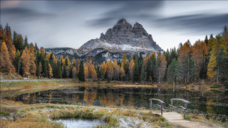 Mountain lake bench trees cloudy - beautiful landscape free wallpaper