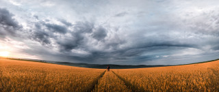Wheat field cinematic sky mountain - a field of wheat under a cloudy sky free wallpaper