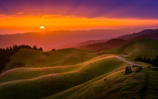 Sunset grassy hill road trees - beautiful landscape free wallpaper for desktop