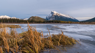 Frozen lake mountain trees snow - derek chittock free wallpaper