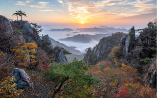 Mountain tree sunset clouds mist - a sunset in the background free wallpaper