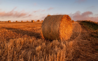 Hayfield bale clouds sunset mountains - art free wallpaper