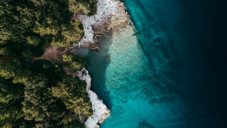Lake forest boat aerial nature - a view of a body free wallpaper