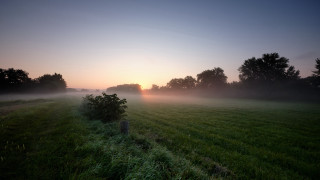 Foggy horizon sunset trees lake - a sun free wallpaper