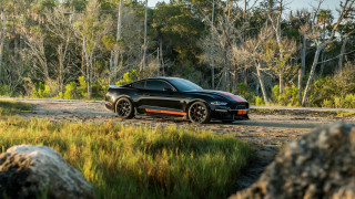 Black car dirt road forest - dennis flanders free wallpaper