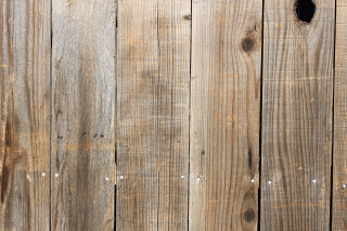 Cat sitting wooden fence looking - a wooden fence free wallpaper