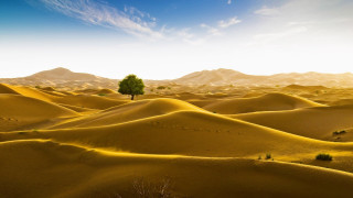 Lone tree desert mountains sky - amir zand free wallpaper