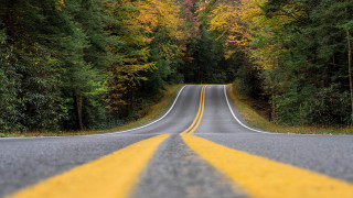 Fall forest road yellow line - saturated free wallpaper