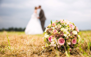 Bride groom flower field blur - a bride and groom free wallpaper