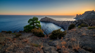 Tree ocean sunset cliff panorama - exekia free wallpaper