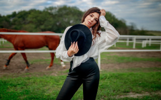 Woman horse field white shirt - a horse in a field free wallpaper