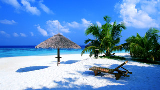 Beach thatched umbrella bench sand 2 - beach free wallpaper
