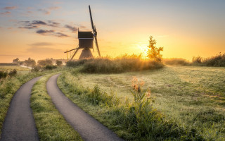 Windmill path field grass weed - a windmill in the distance free wallpaper