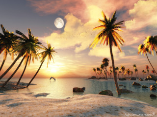 Beach palm trees full moon 2 - palm tree free wallpaper