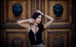 Woman black top lion door - a black top free wallpaper